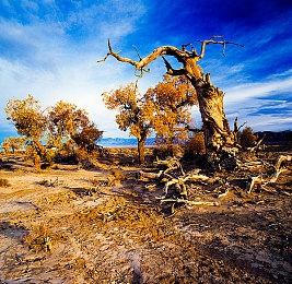 三上真司谈《生化危机4重制版》：如果有希望改编好